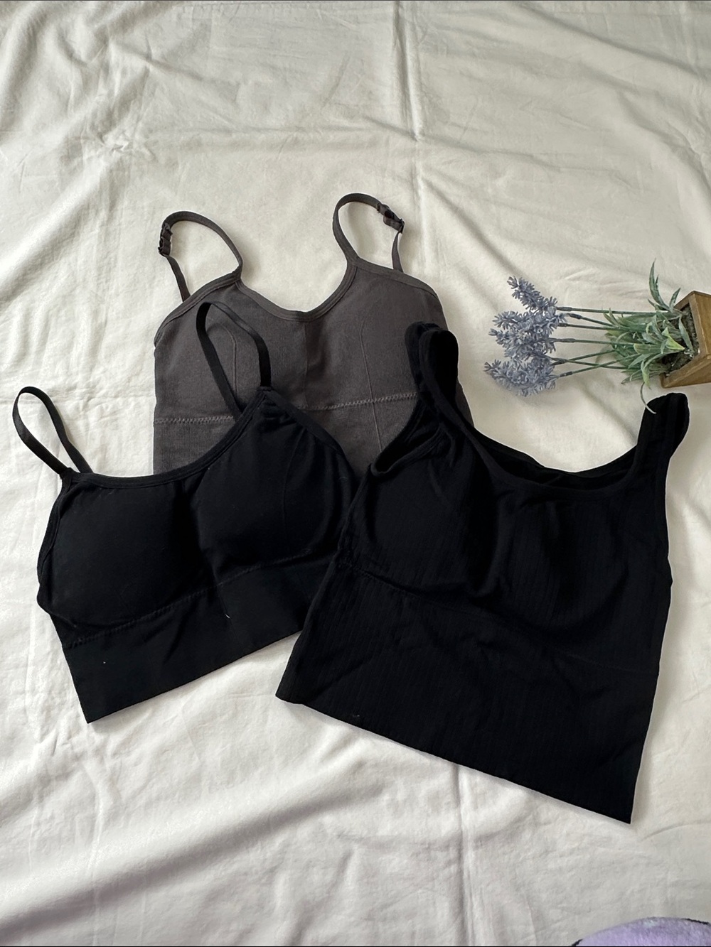 Seamless Scoop Neck Bralette - Black & Gray. Black crop tank.